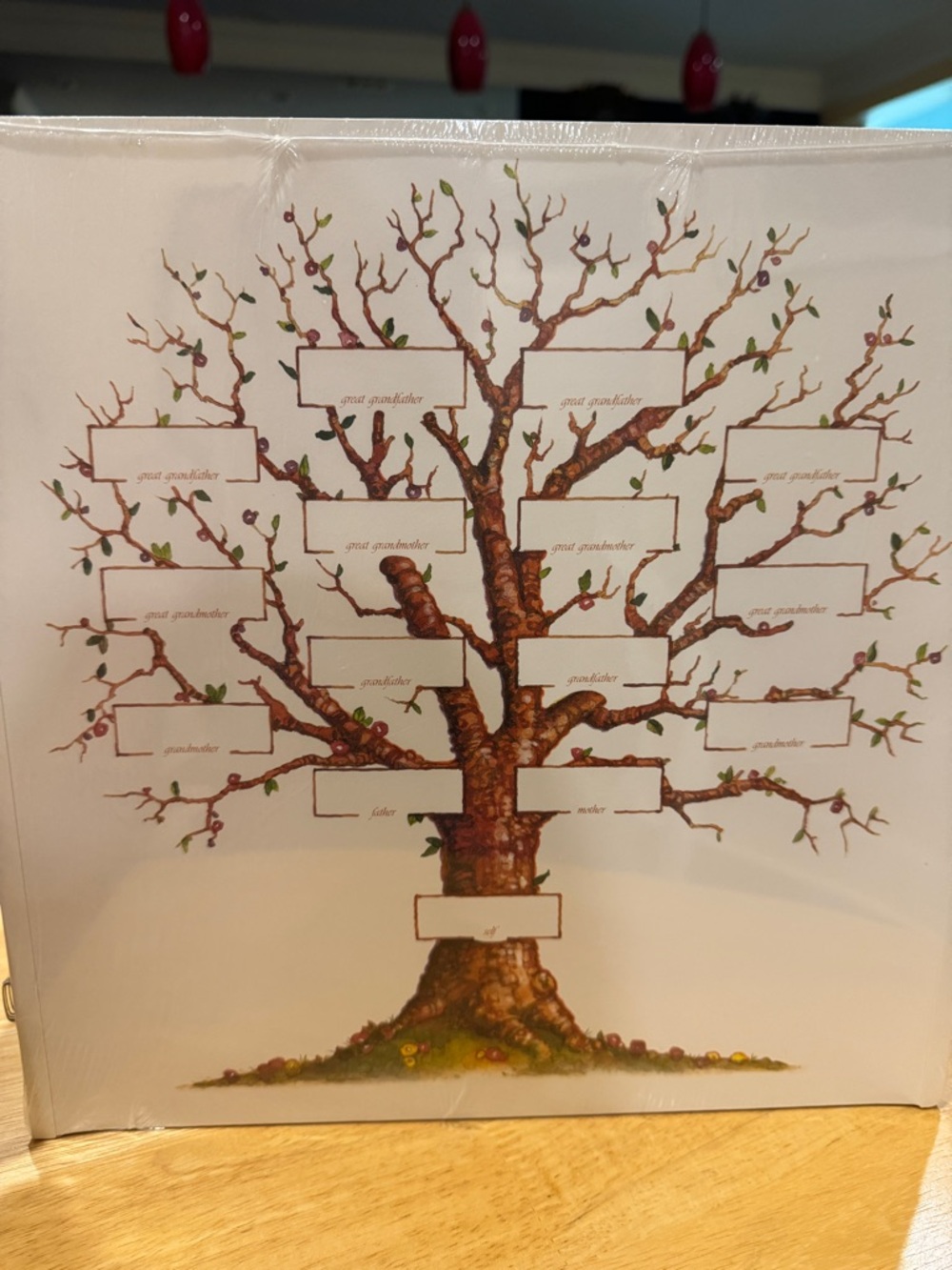 Creative Memories Family‎ Tree Album Refill Pages 12 x 12 Original White Y2K